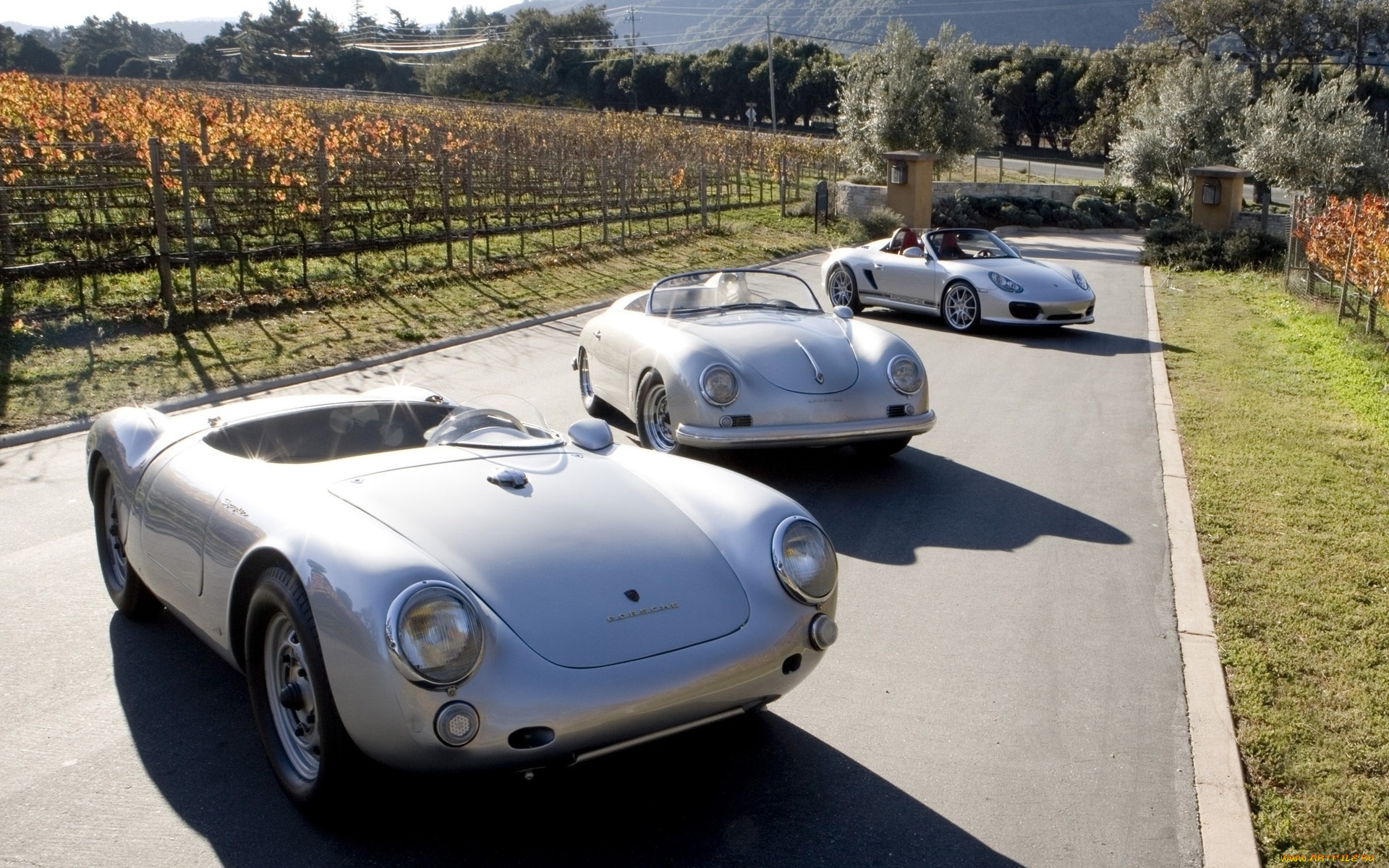 , porsche, collection